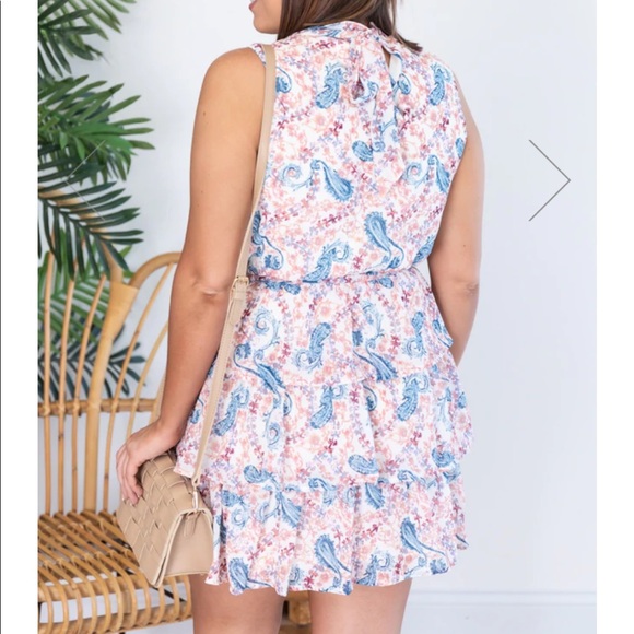 Pink Lily Paisley Ruffle Dress - Picture 4 of 6